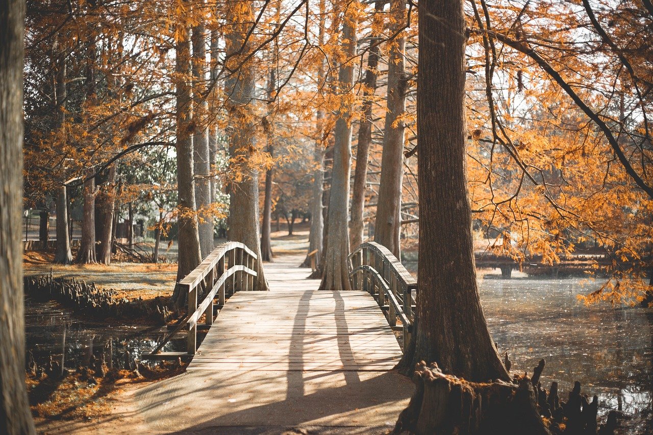 You are currently viewing Day 2 – “Journey is more about path than the destination”